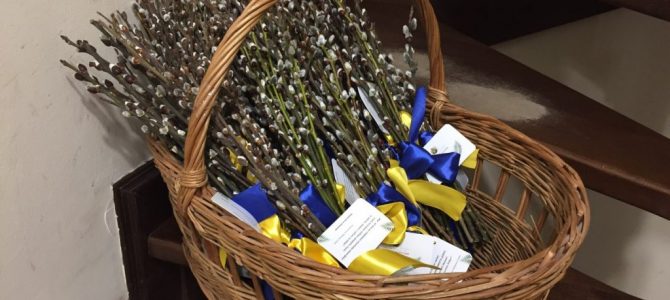 У Гарнізонному храмі можна придбати особливу вербу У Гарнізонному храмі можна придбати особливу вербу
