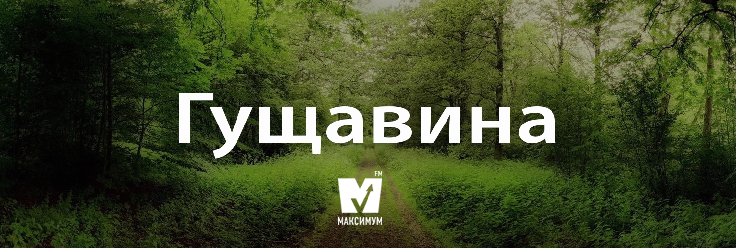 Говори красиво: 10 українських слів, які поповнять ваш словниковий запас - фото 172291