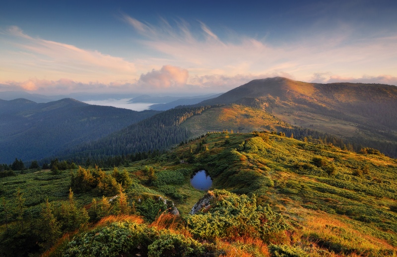 Карпати. фото: Денис Кривий