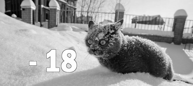 Мороз до -18. Як зміниться погода у Львові у найближчі дні Мороз до -18. Як зміниться погода у Львові у найближчі дні