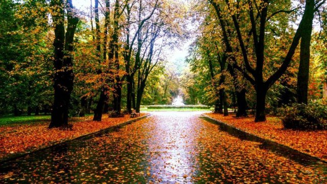 Стрийський Парк восени - фото 287317