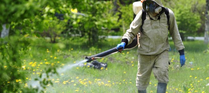 Сьогодні парки Львова починають обробляти від кліщів. Графік Сьогодні парки Львова починають обробляти від кліщів. Графік