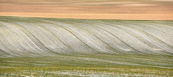 Сила поля: Мінімалістичні пейзажі Галичини від укрїнського фотографа Сила поля: Мінімалістичні пейзажі Галичини від укрїнського фотографа