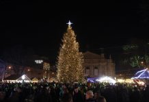 У Львові урочисто відкрили головну святкову ялинку міста
