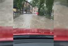 Сильна злива у Львові: затоплені вулиці, повалені дерева (фото, відео)