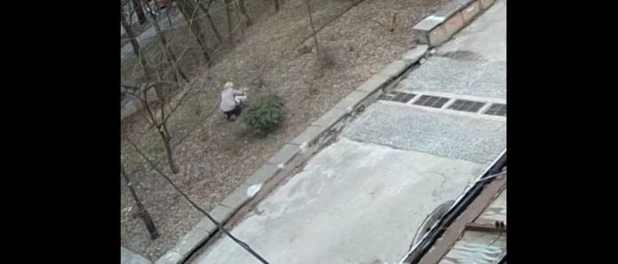 Львів’янка безсоромно вирвала з корінням дорогі куші в Парку культури