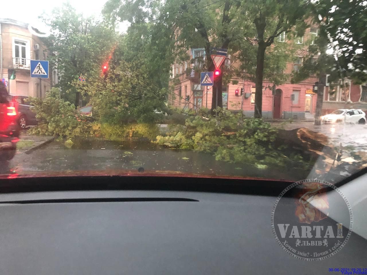 Дубль два: чергова страшна негода у Львові затопила центр та повалила дерева (фото, відео)