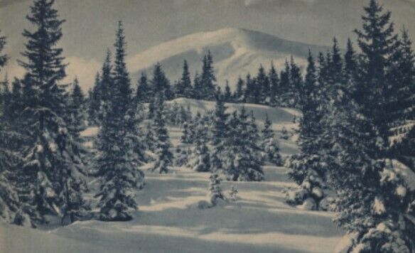 Карпати взимку 1938 року