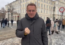 Садовий