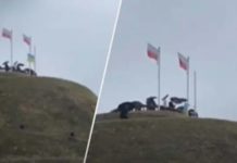 У Польщі проросійський депутат зняв прапор України з кургану Костюшка