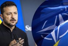 Хочемо побачити щось схоже на запрошення до Альянсу, – Зеленський про саміт НАТО