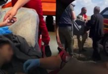 Диво все ж сталося: через тиждень пошуків на Львівщині знайшли зниклу 11-річну Соломію Веклич