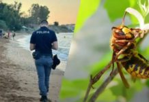 В Італії помер 47-річний українець, тікаючи від ос