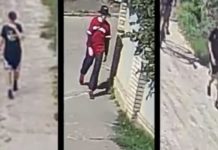 Кримінальний психолог заявив, що Зінченком хтось професійно керував та готував