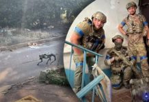Україна відправила в бій на Донбасі понад 30 собак-роботів у камуфляжі, – Bild