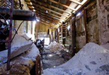 Дрогобицьку солеварню виставлять на аукціон: що відомо