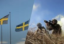 Швеція готова підтримати Україну в боротьбі за кордони 1991 року, – міністр оборони країни