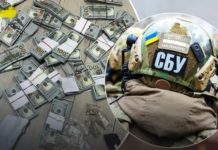 У керівниці Миколаївської обласної МСЕК знайшли 450 тисяч доларів: у її сина паспорт Росії