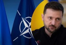 Зеленський відповів, чи можливий вступ України до НАТО “частинами”