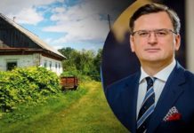 Ревіталізація села та овеча ферма: Кулеба поділився, чим невдовзі планує займатися