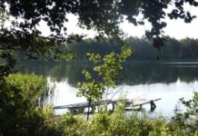 Подвійне вбивство: на Львівщині знайшли застреленими власників озер