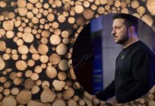 У Зеленського кажуть, що президент не підпише “закон про дрова”, – ЗМІ