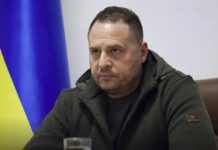 У Зеленського відповіли, чи мовиться у Плані перемоги про 5-ту статтю НАТО