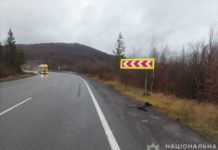 На Львівщині затримали водія, який у Закарпатській області збив на смерть жінку і втік з місця ДТП