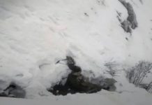 Кошеня врятувало від смерті українця, який впав у Румунії у 400-метровий яр