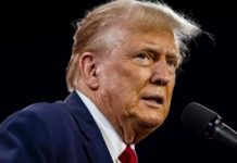 Україна хоче укласти угоду, аби припинити це божевілля, – Трамп