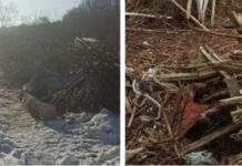 В одному з парків Львова люди захопили землю та облаштували там городи