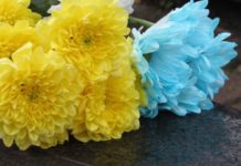 У понеділок Львівська громада попрощається із Героями Володимиром Поврозником та Назаром Павлищем
