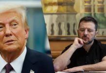 Трамп заявив, що планує наступного тижня зустрітися із Зеленським