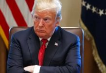 Трамп наказав Європі підготувати капітуляцію України за 3 тижні, – євродепутат