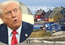 Ми не продаємося, – у Гренландії відповіли на нові зазіхання Трампа