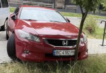 У Львові водій вʼїхав у дерево та побіг з битою за жінкою