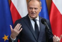 Туск готовий відправити військових до України для навчання протидії дронам, – Зеленський