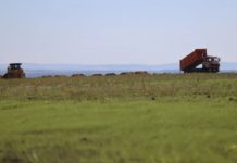 У Львові на колишньому сміттєзвалищі облаштовують поле для гольфу