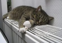Опалювальний сезон для населення Львівщини стартує 1 листопада