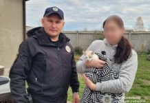 У львівської лікарки забрали кота, якого фломастерами розмалювала дочка