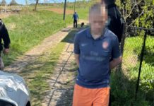 Житель Львівщини вбив маму через кошенят