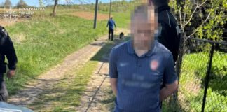 Житель Львівщини вбив маму через кошенят