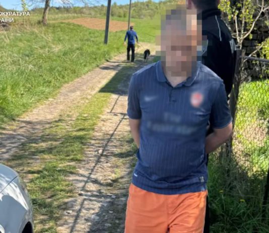 Житель Львівщини вбив маму через кошенят